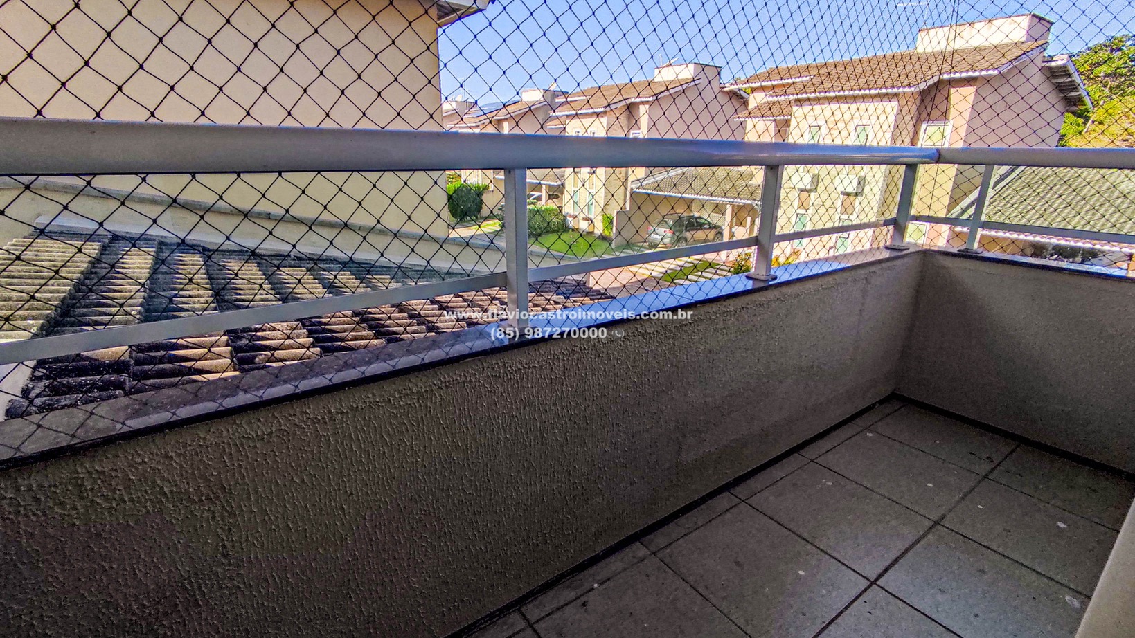 1687088538056.jpg