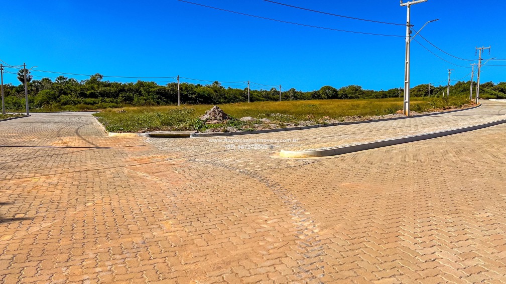 1690822179812.jpg