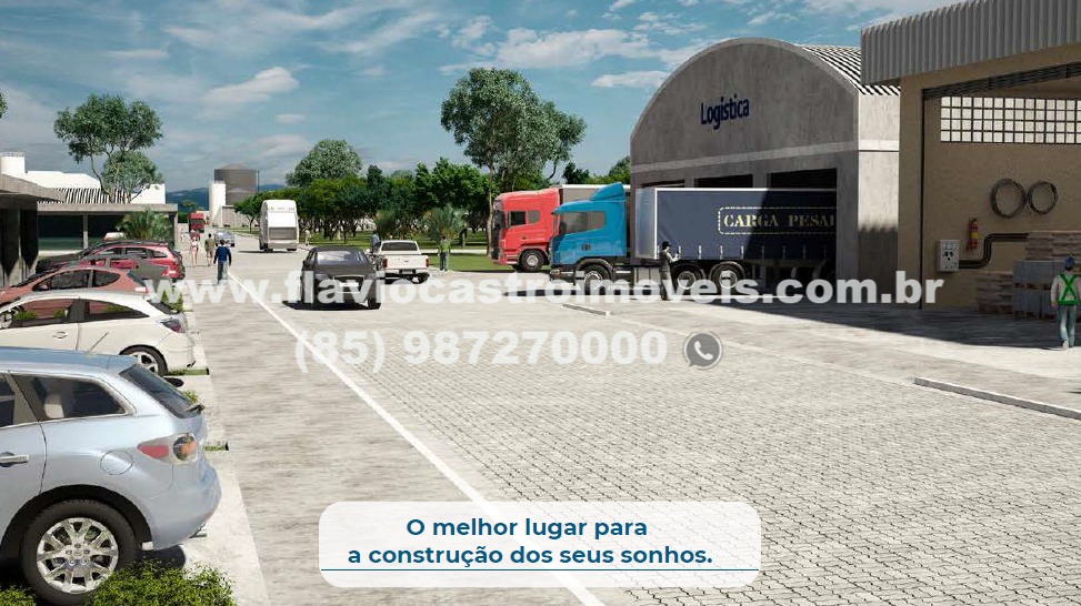 1691185265391.jpg