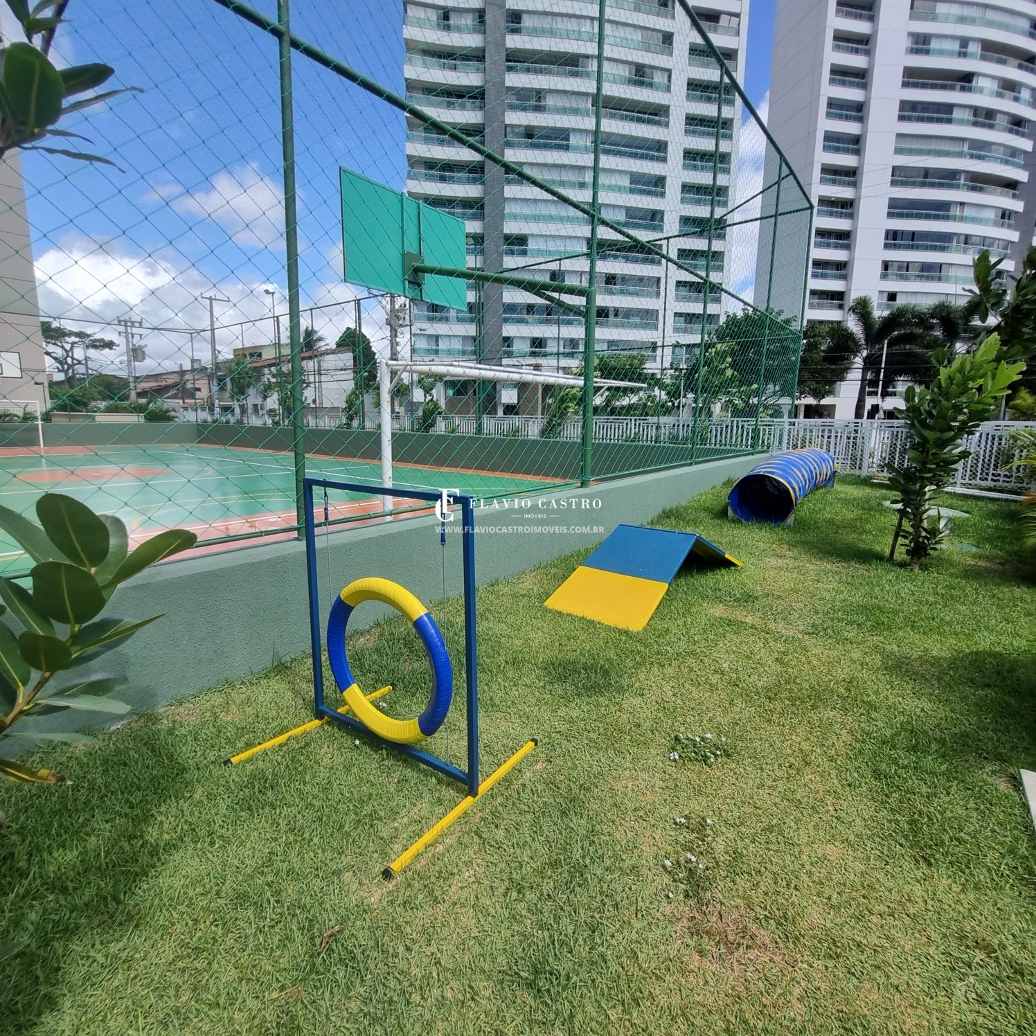 1719077196354.jpg