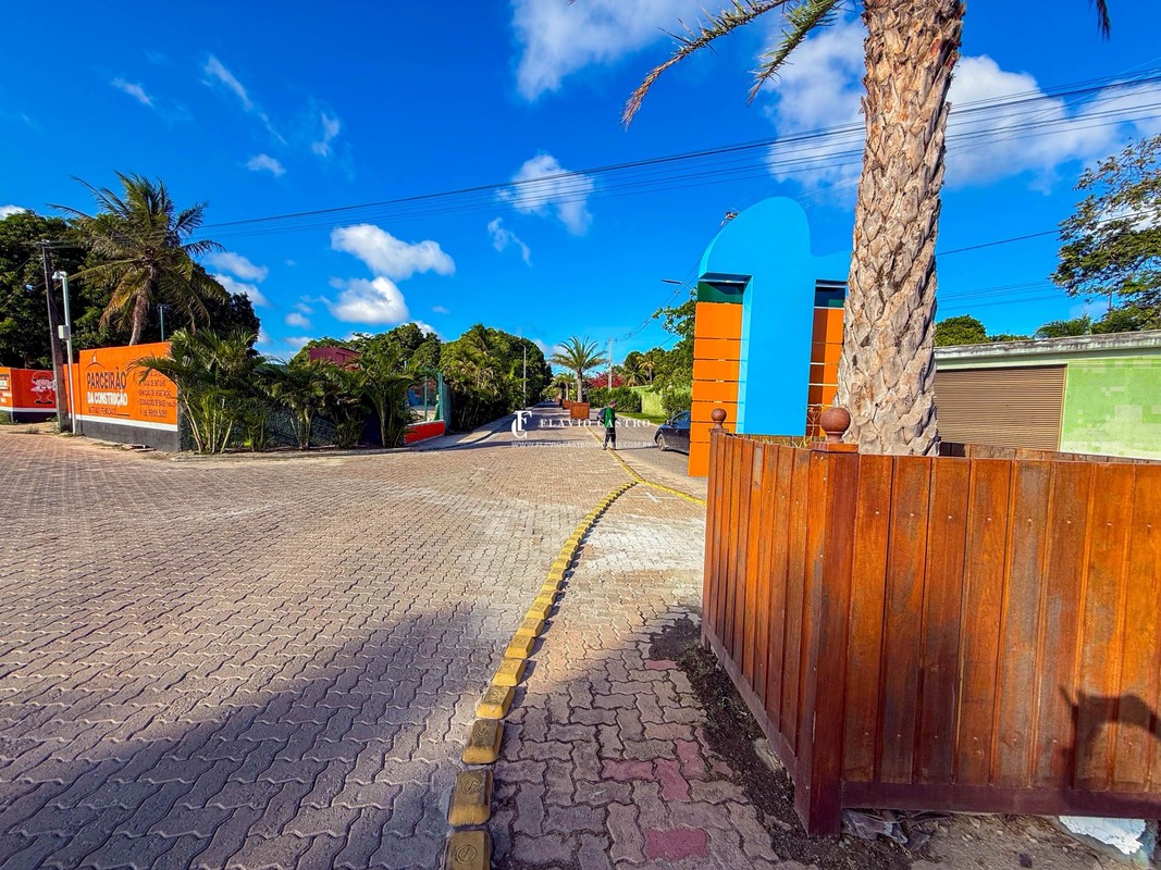 1736826952431.jpg