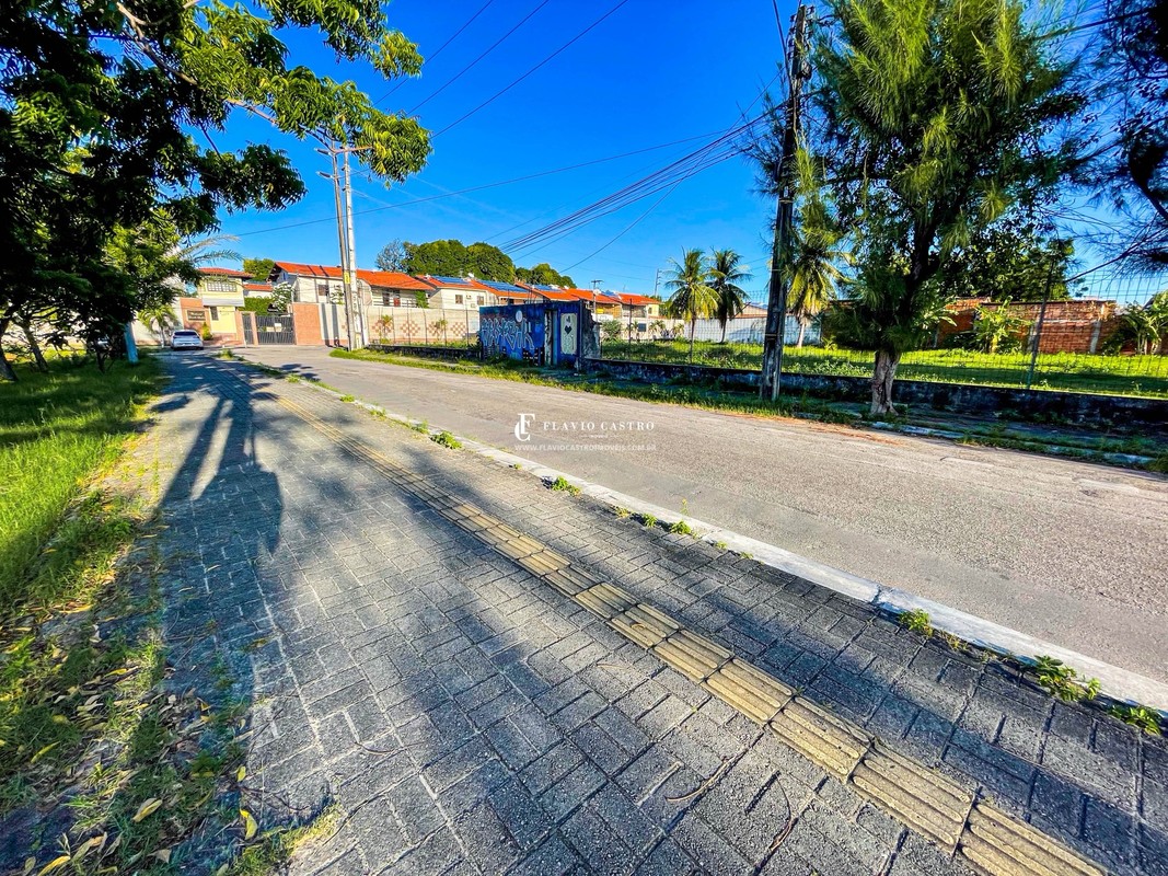 1750461175854.jpg