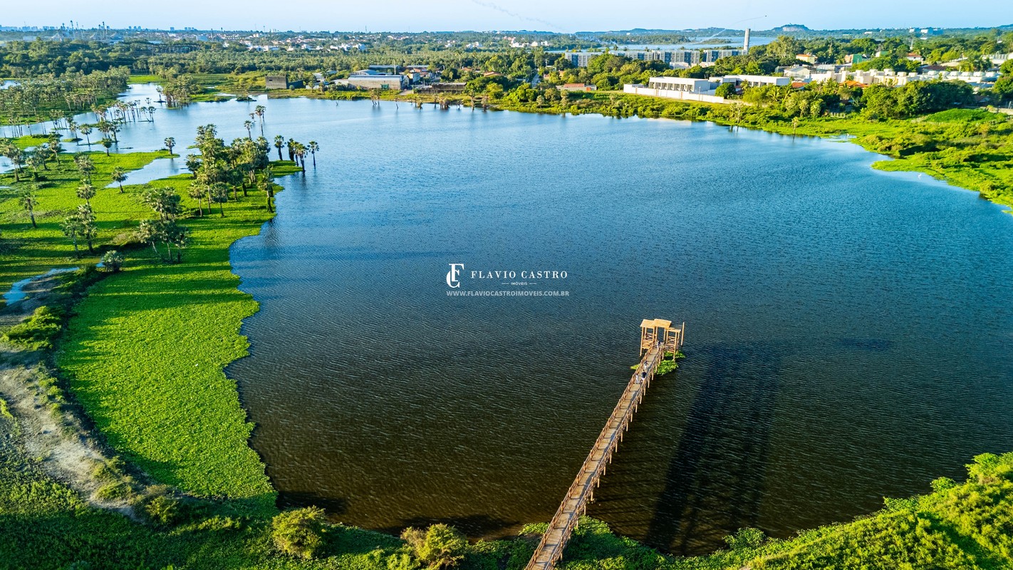 1753481125554.jpg
