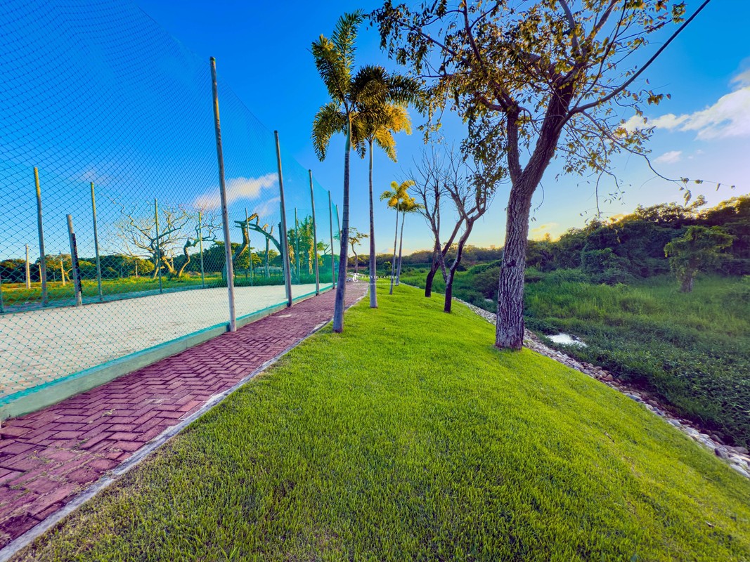 1751810233885.jpg